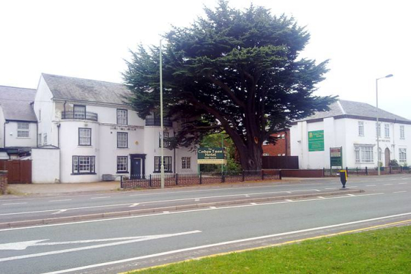 Cedar Tree Hotel Cedar Tree Hotel