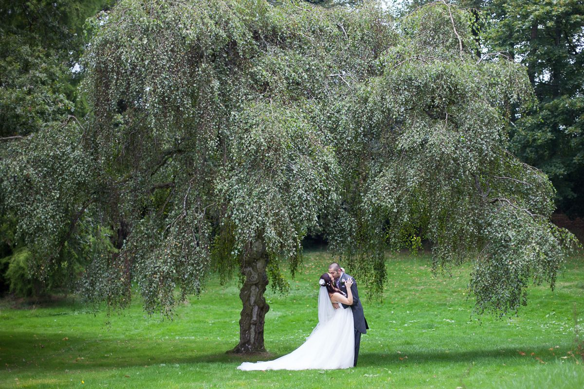 An Image For You An Image For You - Photographers - Sandhurst - Berkshire