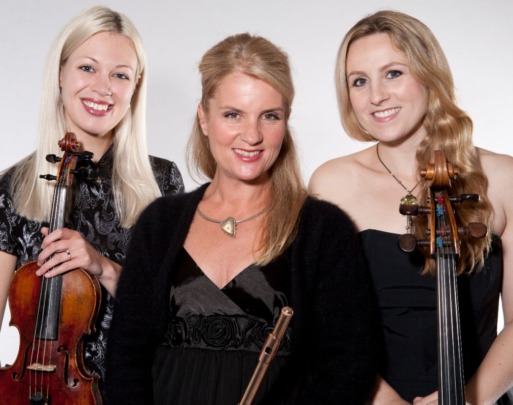 Brook Trio Brook Trio - Musicians - Kings Langley - Hertfordshire