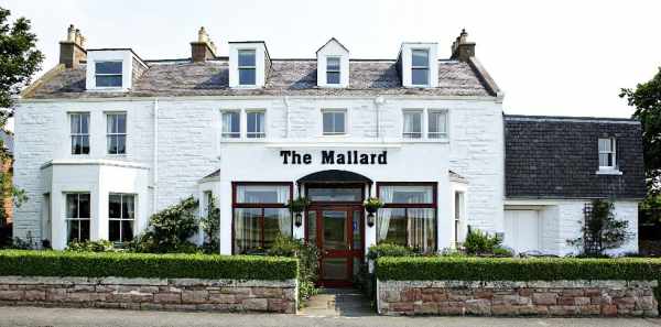 The Mallard The Mallard