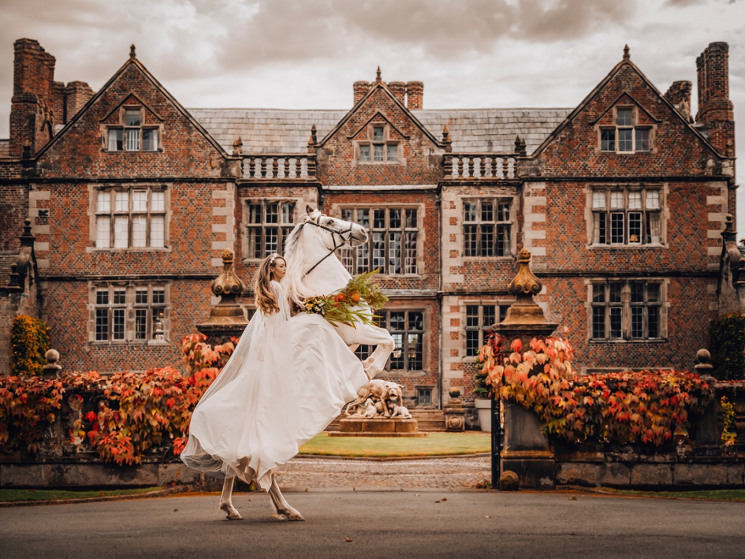 Jaine Briscoe-Price Photography Jaine Briscoe-Price Photography - Photographers - Wrexham - Wrexham