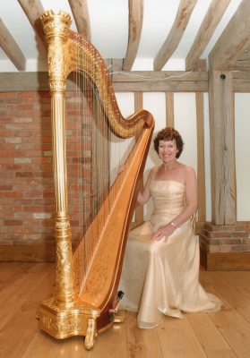 Audrey Cameron Finnemore Harpist - Musicians - Fareham, Hampshire - Hampshire