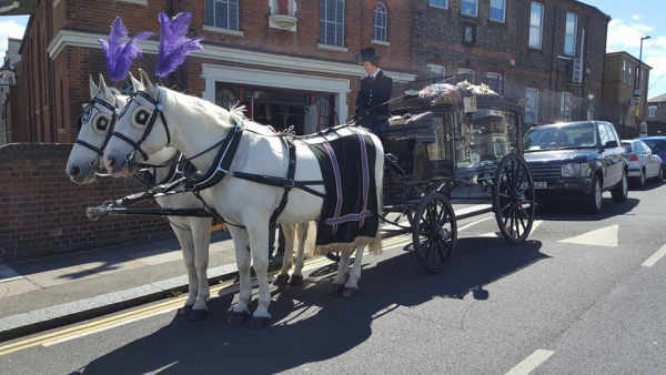 Acorn Carriage Hire Acorn Carriage Hire