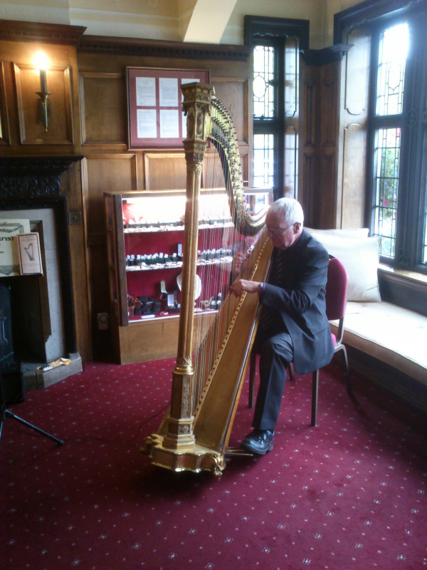 Robert Pacey Wedding Harpist Robert Pacey Wedding Harpist - Entertainment - Skegness - Lincolnshire
