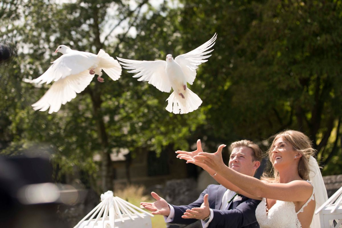Our Wedding Company Our Wedding Company - Videographers - Guildford - Surrey