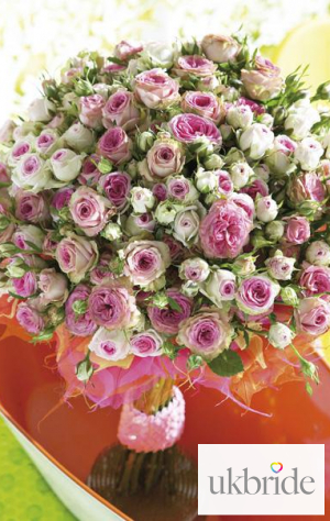 These-spray-roses-are-Mimi-Eden-and-Pepita,-and-have-a-wonde.jpg