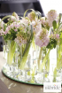 Simple-and-chic---hyacinths-and-china-grass-in-rows-of-shot-.jpg
