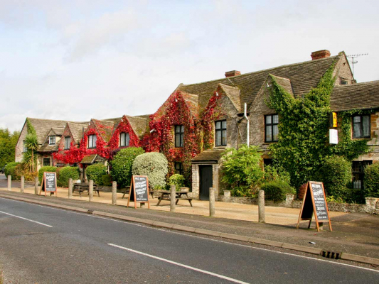 The Holt The Holt