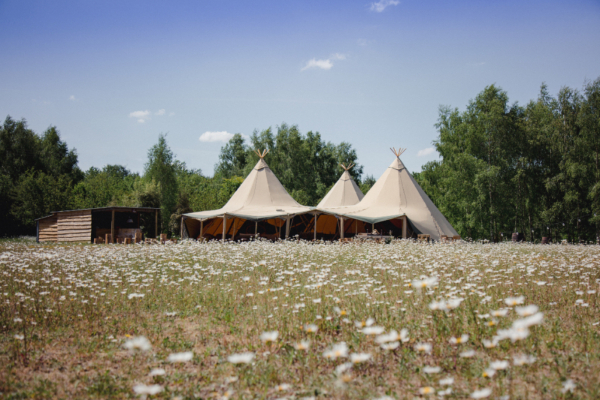 Wellington Wood Wellington Wood - Wedding Venue - Thetford - Norfolk