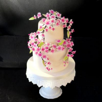 Rainbow Sugarcraft Rainbow Sugarcraft