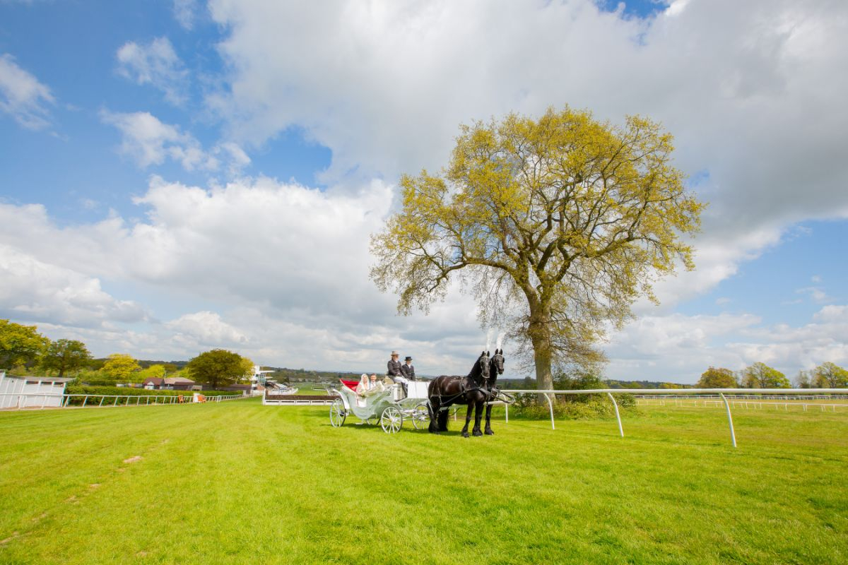 Plumpton Racecourse Plumpton Racecourse - Venues - Lewes - East Sussex