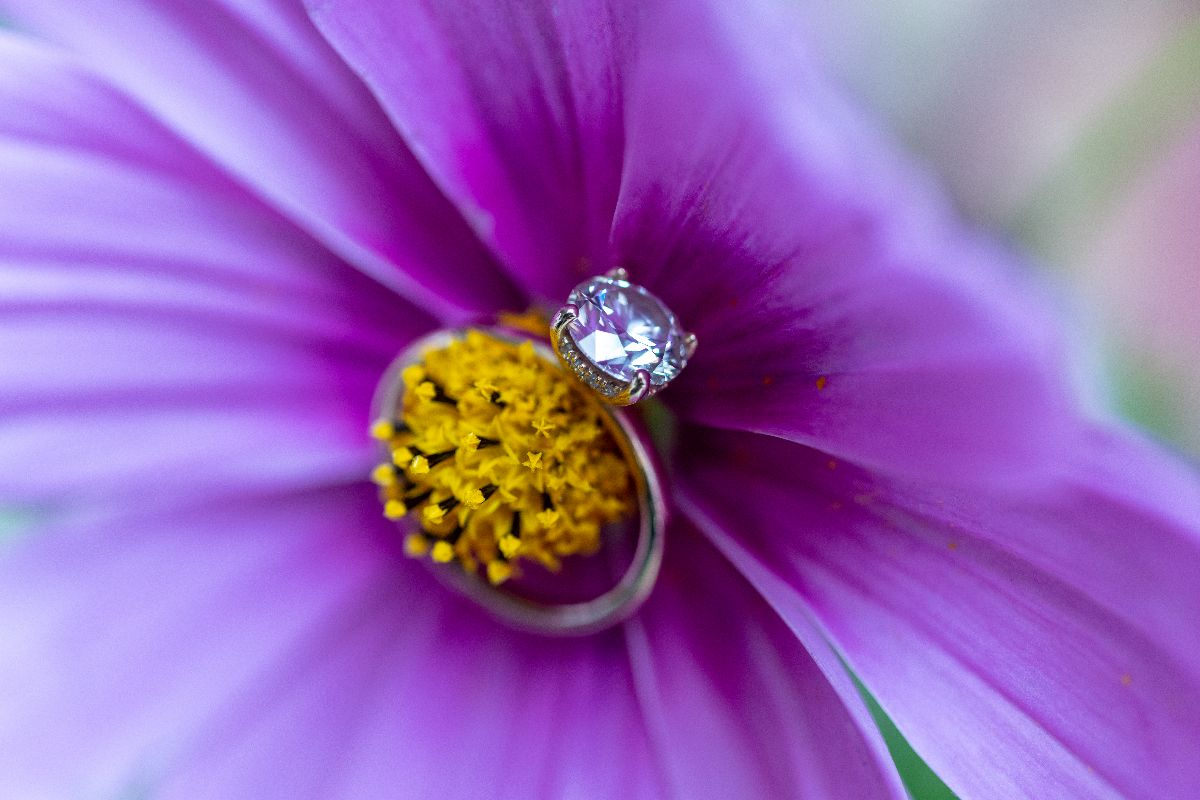 Fergus Burnett Photography Fergus Burnett Photography - Photographers - West Wickham - Kent