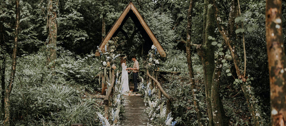 Marshwood Manor Marshwood Manor - Venues - Bridport - Dorset