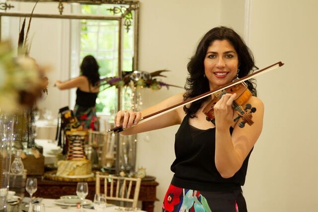 The Violin Expert The Violin Expert - Musicians - Bristol - City of Bristol