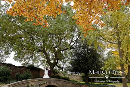 Mango Tree Wedding Photography-Image3
