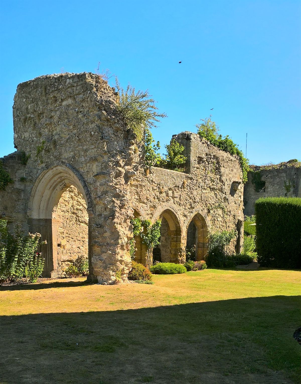 Amberley Castle grounds