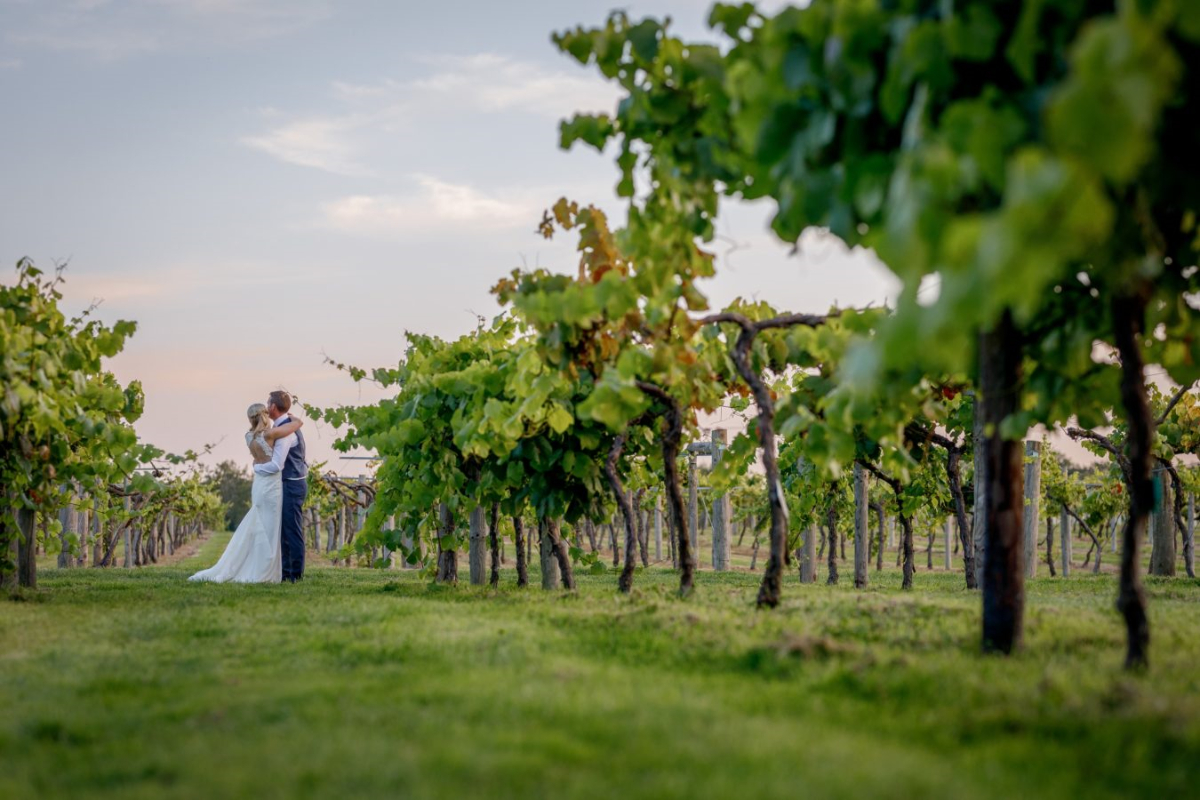 Three choirs vineyard discount