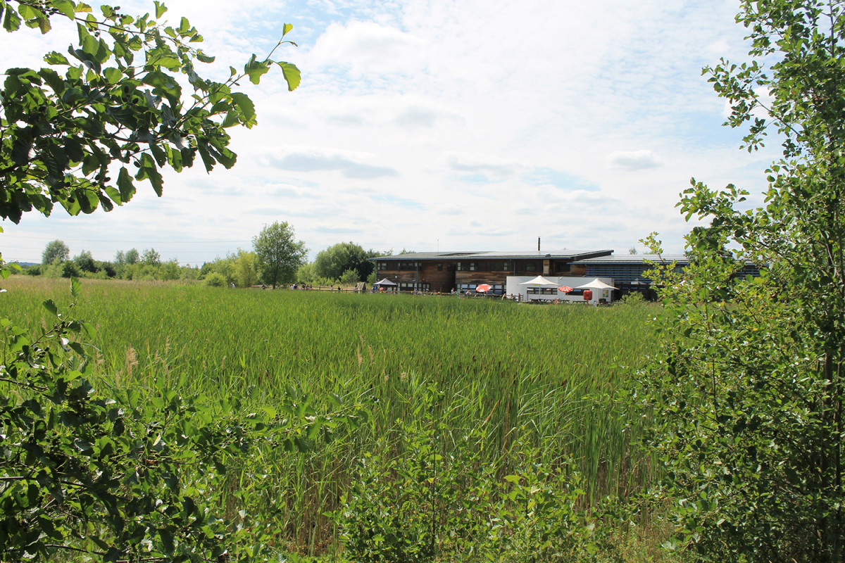 The Forest Centre Marston Vale Wedding Venue in Marston Moretaine