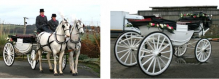 horse and carriage.PNG