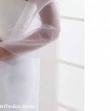 organza shawl.jpg