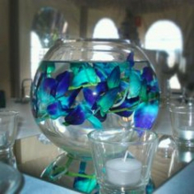 blue orchid fish bowl.jpg