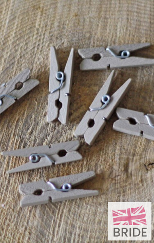 MINIWOODENPEGS-NATURAL12peachTheWeddingofmyDreams.jpg