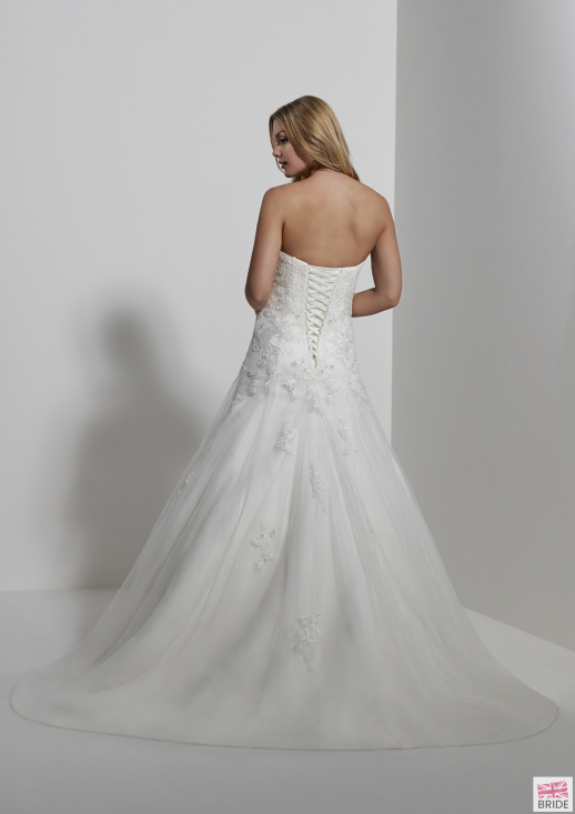 SALVADOR-BACK- ROMANTICA-HIRES-2016.jpg