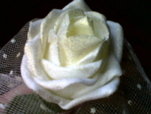 Ivory flower with gold glitter spray.jpg