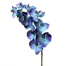 Blue-and-Purple-Phalaenopsis-Wedding-Orchid-ZSO929-BL.jpg