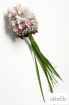 You-can-choose-a-smart,-modern-wedding-bouquet-of-cymbidiums.jpg