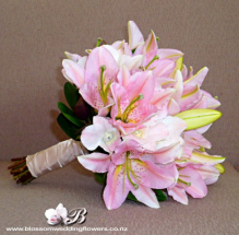 pink lillis.jpg