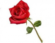 stamp rose 2.jpg