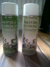 Oasis spray.jpg
