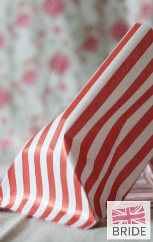 COLOUREDCANDYSTRIPEPAPERBAGSFORSWEETSX1003for100TheWeddingofmyDreams(4).JPG