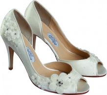 the shoes 