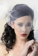 Birdcage veil