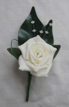 Dorrian's buttonhole