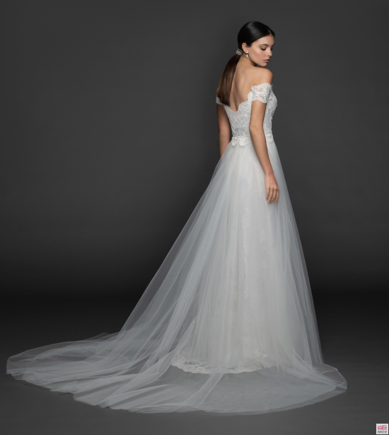 tara-keely-lazaro-bridal-fall-2019-style-2955-nina_1.jpg