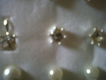 IMG00736-20110403-1117.jpg
