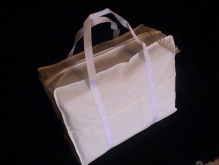 wedding dress travel bag.jpg