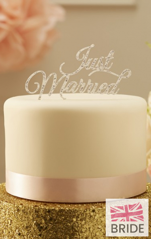 SILVERJUSTMARRIEDWEDDINGCAKETOPPER6.50TheWeddingofmyDreams(1).jpg