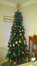 CHRISTMAS TREE 2015