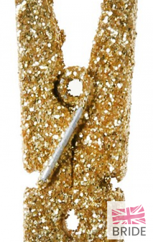 MINIWOODENPEGSGOLDGLITTERPACKOF61.10TheWeddingofmyDreams(2).jpg