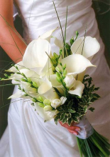 white-calla-lily-bouquet.jpg