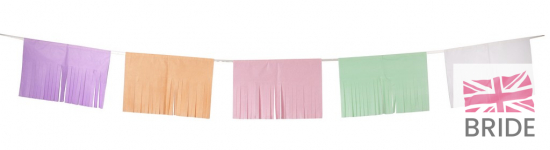 PASTELTISSUEPAPERTASSELGARLAND5M8.50TheWeddingofmyDreams(9).jpg