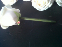 foam roses1.jpg