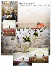 derby cricket club.jpg