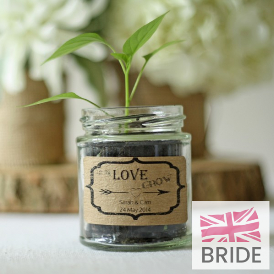 PLAINGLASSJAMJARSMALLWITHLID1TheWeddingofmyDreams(5).jpg