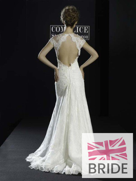 11290-MAJOR back.jpg