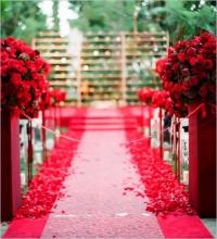 amazing-wedding-aisle--Ideal-with-flowers-and-all.jpg